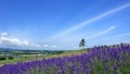 操逼片网址日本一地6日游  境外旅游 6880元/人
